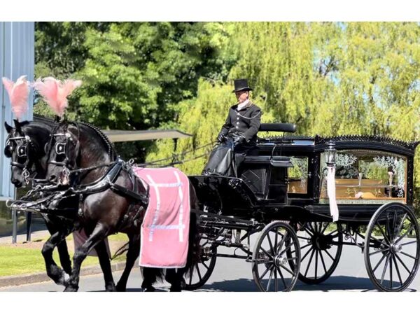 Horse Drawn Funerals Manchester - Fallon Funeral Directors